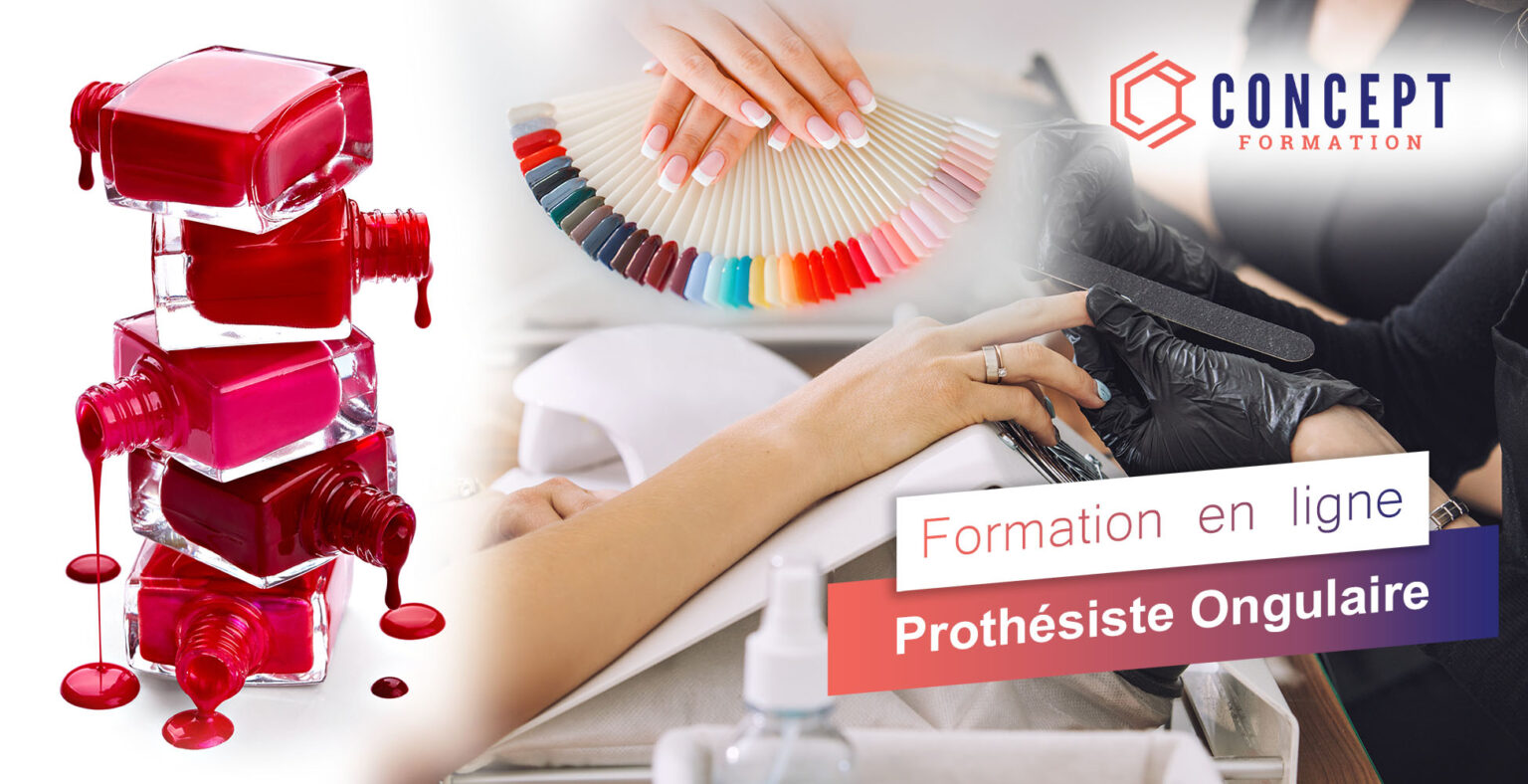 Formation Proth Siste Ongulaire Concept Formation